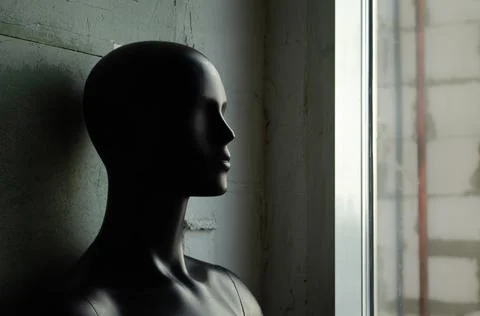 Mannequin head black posing Stock Photos