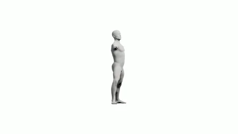 Mannequin T-pose front view Stock Footage 335272312