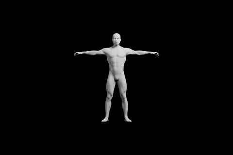 Mannequin T-pose front view black studio Stock Illustration