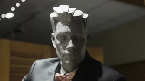 MANNEQUIN TIGHT SHOT Stock Footage 241180604