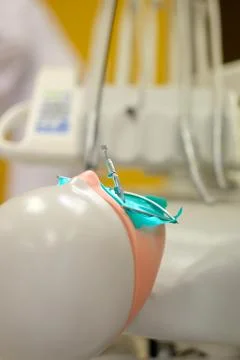 Mannequin for training and obtaining practical skills in dentistry Stock Photos