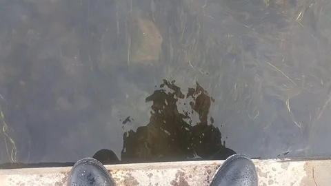 Manner Stock Footage 106367978