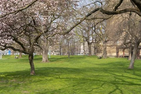 Mannheim in Germany Stock-Fotos