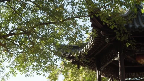 Mannheim Television Tower from the Perspective of a Park  Vídeos de archivo 145000258
