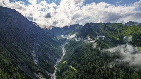 Mannkopf Timelapse Video stock 246583869