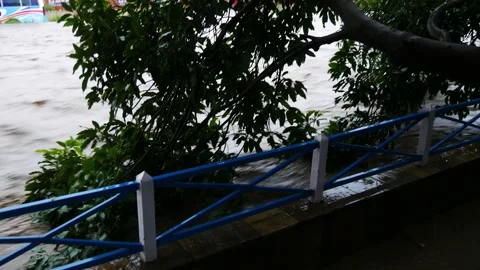 Manohara river overflowing and full with flood water destroying tree branch Stock Footage 286016209