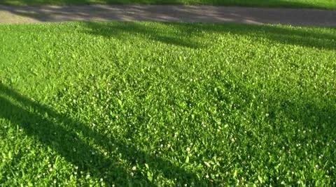 Manoir Fraser Stock Footage 21825166