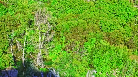 Manojlovac waterfall Krka river Stock-Footage 45777420