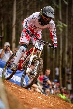 Manon Carpenter Stock Photos