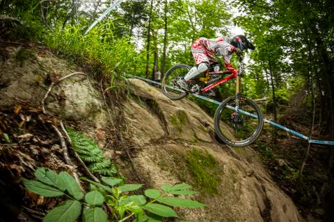 Manon Carpenter Stock Photos