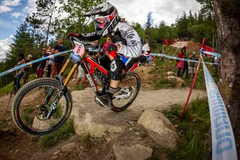 MANON CARPENTER Stock Photos