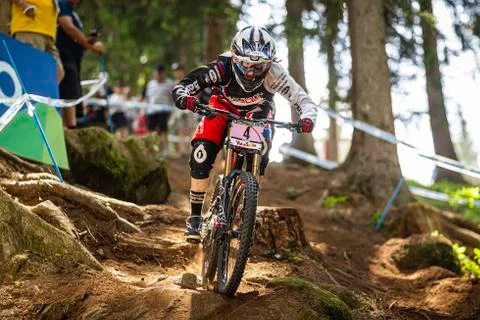 Manon Carpenter Stock Photos