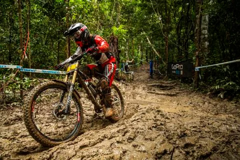 MANON CARPENTER Stock Photos