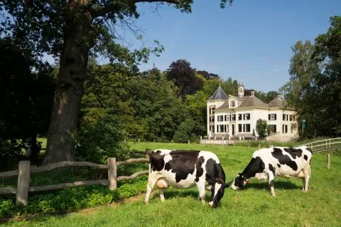 Manor de Haere Stock Photos