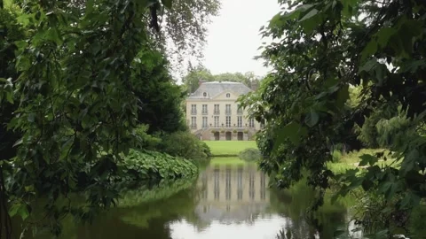 Manor forward river in nature Stock Footage 245413471