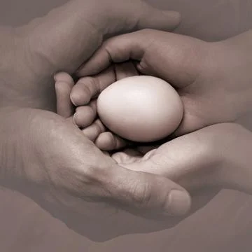 Man's and woman's hands with egg in black white Foto stock