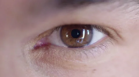 Man's brown eye looking at camera 4K Stock Footage 48780816