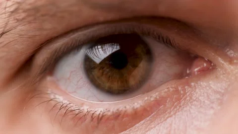 Man's Brown Eyes Looking Into the Camera. Male Eye Blinking. Focused Man Gazing Stock Footage 140620144