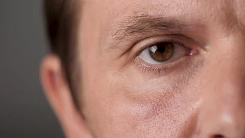 Man's Brown Eyes Looking Into the Camera. Male Eye No Blinking. Focused Man Stock Footage 141044272