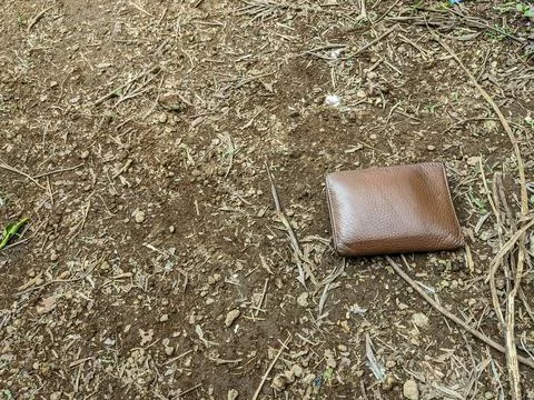 The man's brown wallet Stock Photos