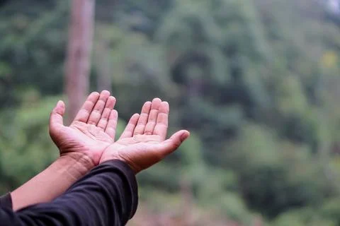 A man's cupped open hands praying upward against a blurred forest Stock Photos