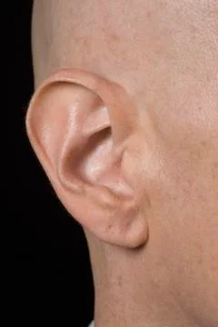 A man's ear Stock Photos