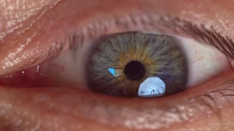 A man's eye with a beautiful blue iris in close-up Stock Footage 277876300