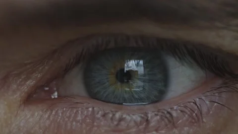 A man's eye with a beautiful blue iris in close-up. Healthy eyesight Stock Footage 285012493