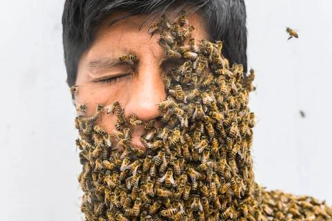 Man's face covered by bees. Stock Photos