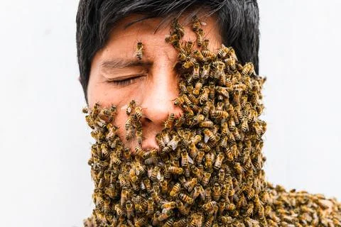 Man's face covered by bees. Stock Photos