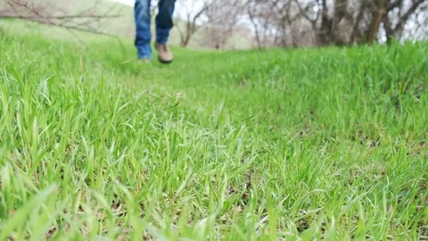 Man's feed walking on grass in the forest Video stock 106706979