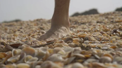 Man's feet approaching camera - walking on the seashells at the beach Vídeo Stock 117047255