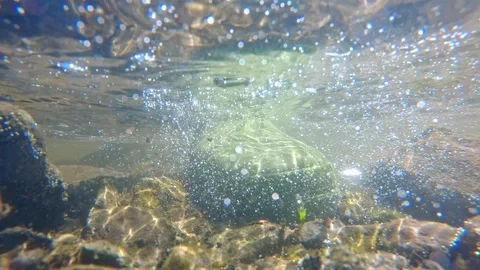 Man’s foot stepping into the river Video stock 89817186
