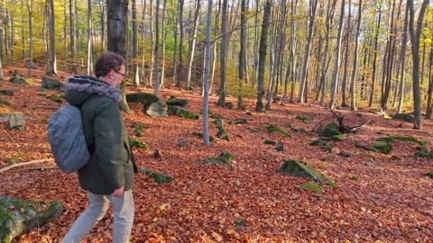 A man's forest foray at dawn; his green coat and beige pants merge with the.. Stock Footage 256288406