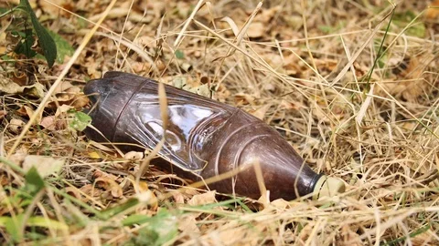 Man's gloved hand picking up plastic bottle, environmental disaster Stock Footage 117048662