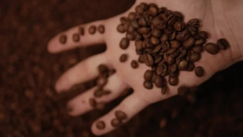A man's hand and roasted coffee beans. Stock Footage 107989548