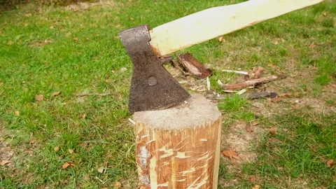 A man's hand with an ax pricks a stump. Stock Footage 173504909