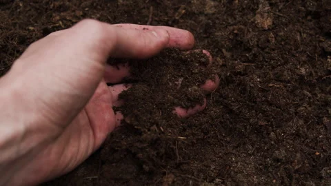 A man's hand with black soil. Stock Footage 258576083