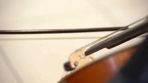 A man's hand with a bow plays on the strings of a musical instrument Stock Footage 105348069