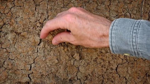 Man's Hand Breaks Apart Parched Soil. Video 1080p Stock Footage 74982459
