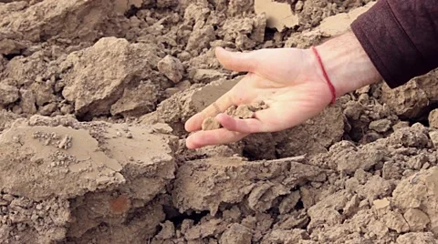 Mans hand checks on poor soil Stock Footage 42267681