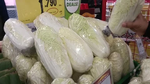 Man's hand choosing white cabbage in plastic wrapping packaging  Stock Footage 259247515