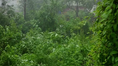 A man's hand closes a window overlooking the garden in a typhoon. Stock Footage 205315150