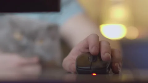 A man's hand with a computer mouse,  background of a blurred muzzle of a cat Stock Footage 151103446