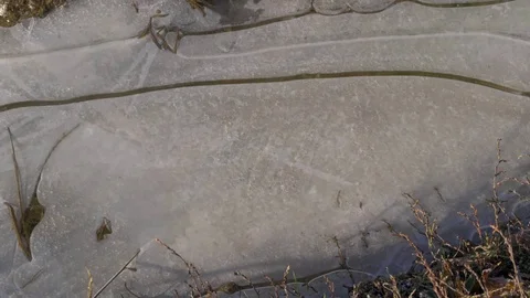 Man's hand crushing ice on puddle in winter Stock Footage 70455828