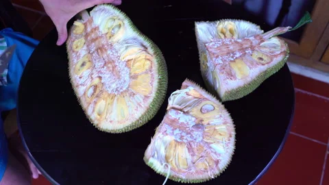 A man's hand cuts jackfruit with a knife Stock Footage 91882555