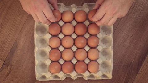 Man’s hand filling egg tray Vídeo Stock 87344728