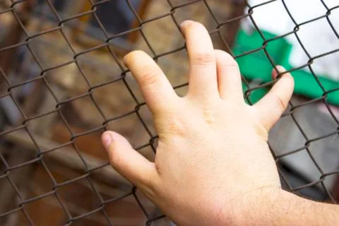 Man's hand on the grid Stock Photos