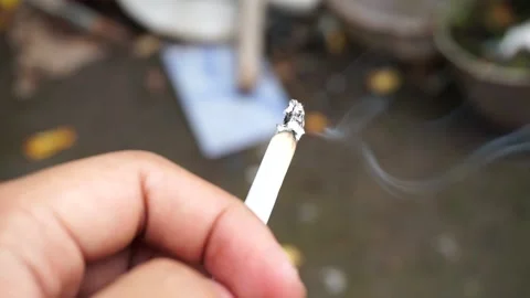 Man's hand holding a cigarette  Stock Footage 219685981