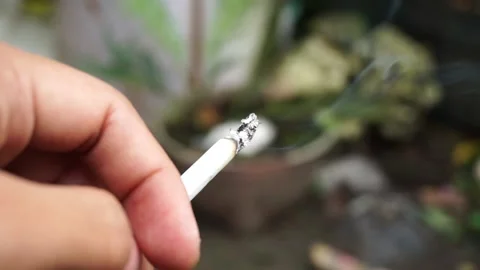 Man's hand holding a cigarette  Stock Footage 219686202